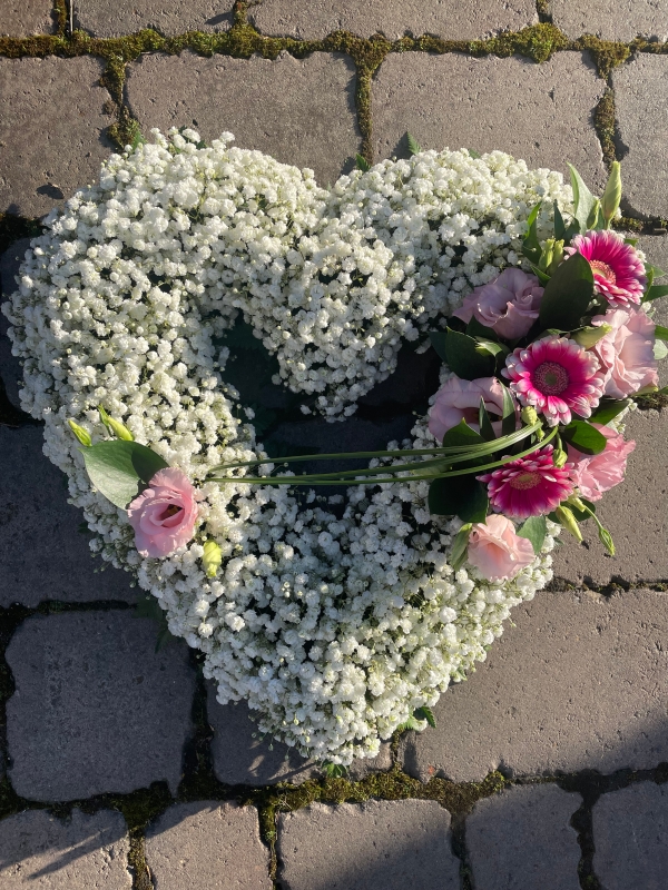 Gypsophila Heart